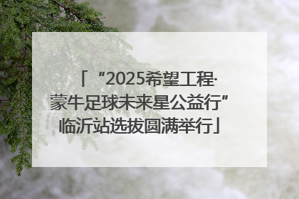 “2025希望工程·蒙牛足球未来星公益行”临沂站选拔圆满举行