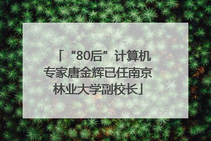 “80后”计算机专家唐金辉已任南京林业大学副校长