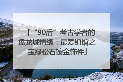 “90后”考古学者的盘龙城情缘：最爱镇馆之宝绿松石镶金饰件