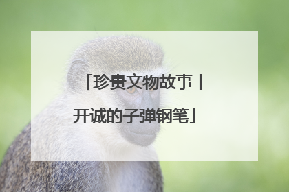 珍贵文物故事丨开诚的子弹钢笔