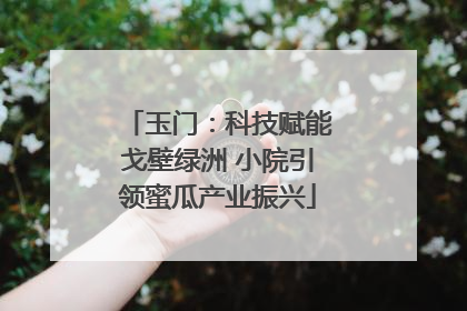 玉门：科技赋能戈壁绿洲 小院引领蜜瓜产业振兴