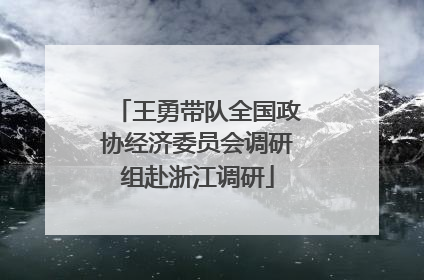 王勇带队全国政协经济委员会调研组赴浙江调研