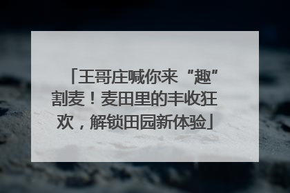 王哥庄喊你来“趣”割麦！麦田里的丰收狂欢，解锁田园新体验