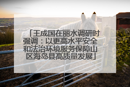 王成国在丽水调研时强调：以更高水平安全和法治环境服务保障山区海岛县高质量发展