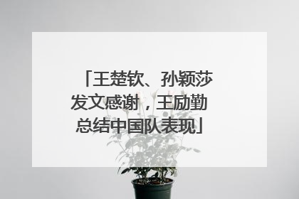 王楚钦、孙颖莎发文感谢，王励勤总结中国队表现