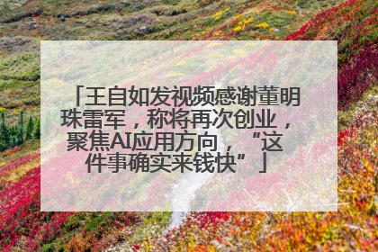 王自如发视频感谢董明珠雷军，称将再次创业，聚焦AI应用方向，“这件事确实来钱快”