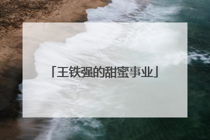王铁强的甜蜜事业