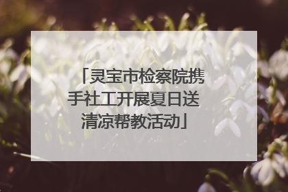 灵宝市检察院携手社工开展夏日送清凉帮教活动