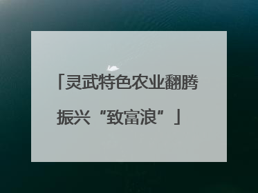 灵武特色农业翻腾振兴“致富浪”