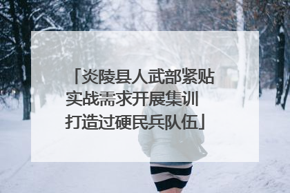炎陵县人武部紧贴实战需求开展集训 打造过硬民兵队伍