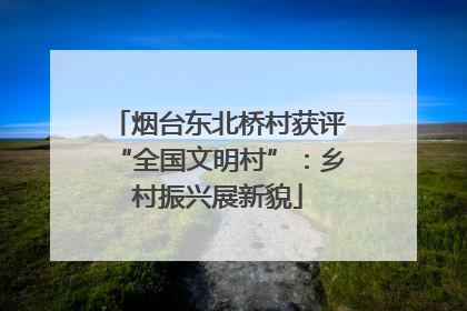 烟台东北桥村获评“全国文明村”：乡村振兴展新貌