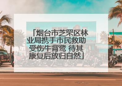 烟台市芝罘区林业局携手市民救助受伤牛背鹭 待其康复后放归自然