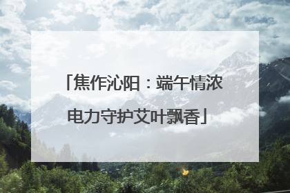 焦作沁阳：端午情浓 电力守护艾叶飘香