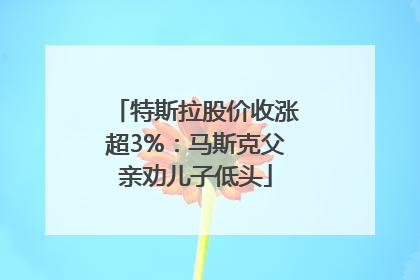 特斯拉股价收涨超3%：马斯克父亲劝儿子低头