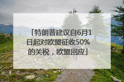 特朗普建议自6月1日起对欧盟征收50%的关税，欧盟回应