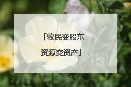 牧民变股东 资源变资产