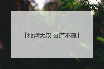 独臂大叔 吾道不孤