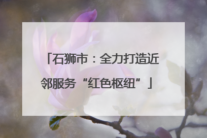 石狮市：全力打造近邻服务“红色枢纽”