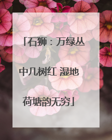 石狮：万绿丛中几树红 湿地荷塘韵无穷