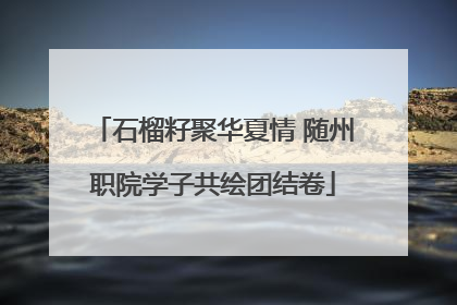 石榴籽聚华夏情 随州职院学子共绘团结卷