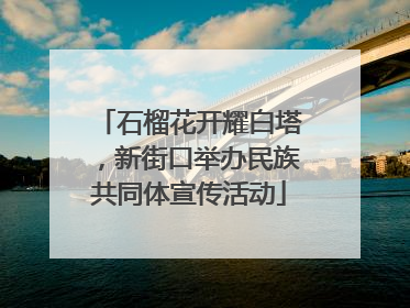 石榴花开耀白塔，新街口举办民族共同体宣传活动