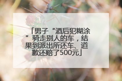男子“酒后犯糊涂”骑走别人的车，结果到派出所还车、道歉还赔了500元