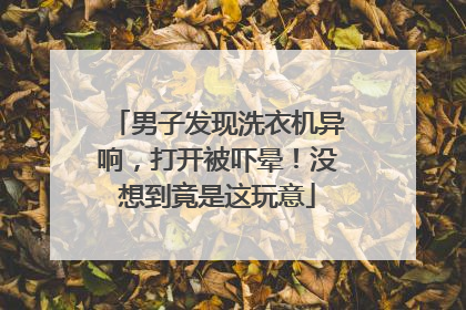 男子发现洗衣机异响，打开被吓晕！没想到竟是这玩意