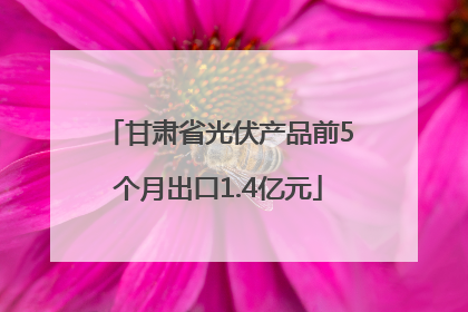 甘肃省光伏产品前5个月出口1.4亿元