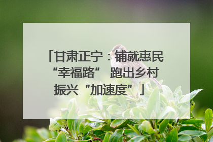 甘肃正宁：铺就惠民“幸福路” 跑出乡村振兴“加速度”