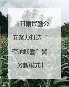 甘肃民勤公安聚力打造“空地联勤”警务新模式