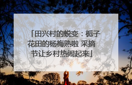 田兴村的蜕变：栀子花田的杨梅熟啦 采摘节让乡村热闹起来