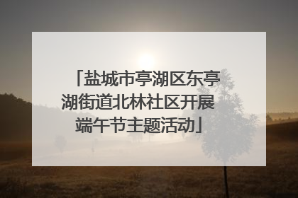 盐城市亭湖区东亭湖街道北林社区开展端午节主题活动