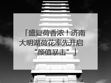 盛夏荷香浓！济南大明湖荷花率先开启“颜值暴击”