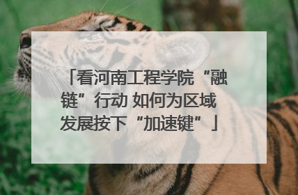 看河南工程学院“融链”行动 如何为区域发展按下“加速键”