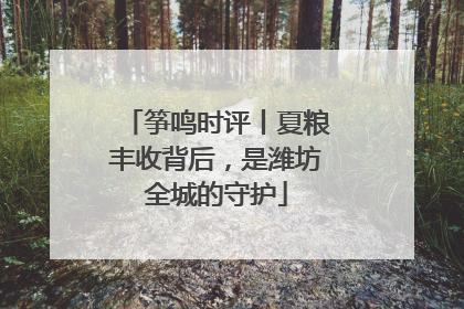 筝鸣时评丨夏粮丰收背后，是潍坊全城的守护