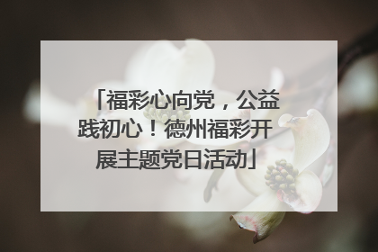 福彩心向党，公益践初心！德州福彩开展主题党日活动