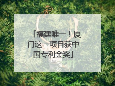 福建唯一！厦门这一项目获中国专利金奖