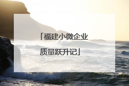 福建小微企业质量跃升记