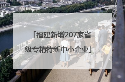 福建新增207家省级专精特新中小企业
