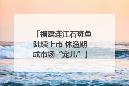 福建连江石斑鱼陆续上市 休渔期成市场“宠儿”