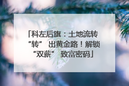 科左后旗：土地流转 “转” 出黄金路！解锁 “双薪” 致富密码