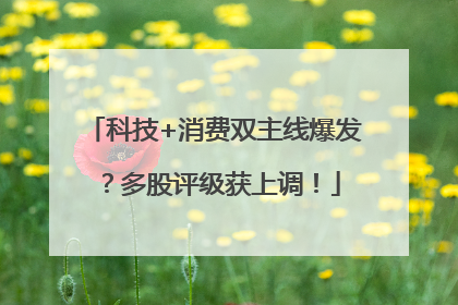 科技+消费双主线爆发？多股评级获上调！