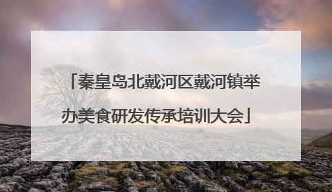 秦皇岛北戴河区戴河镇举办美食研发传承培训大会