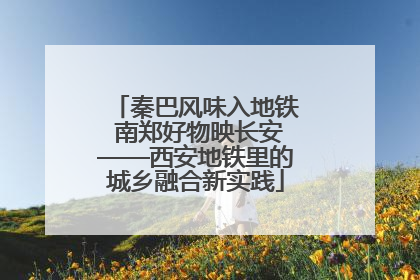 秦巴风味入地铁 南郑好物映长安——西安地铁里的城乡融合新实践
