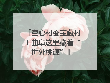 空心村变宝藏村！曲阜这里藏着“世外桃源”