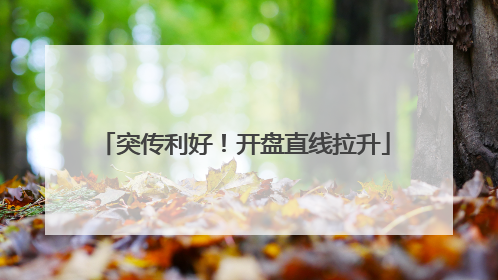 突传利好！开盘直线拉升