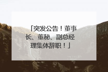 突发公告！董事长、董秘、副总经理集体辞职！