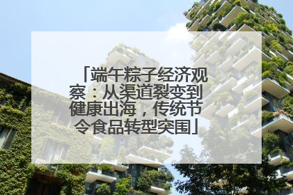 端午粽子经济观察：从渠道裂变到健康出海，传统节令食品转型突围