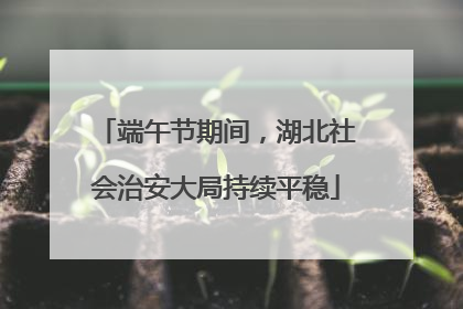 端午节期间，湖北社会治安大局持续平稳