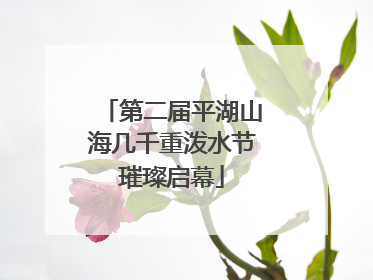 第二届平湖山海几千重泼水节璀璨启幕